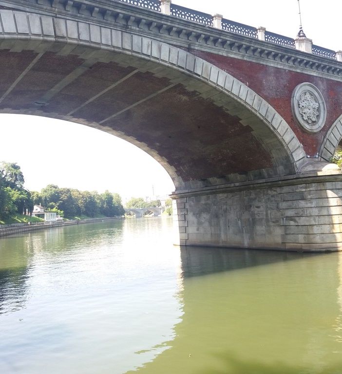 Calma piatta lungo il Po: spariti i tronchi spunta un canottiere solitario (FOTO)
