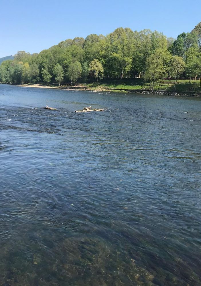 Soluzioni alternative e innovative per salvaguardare la biodiversità fluviale