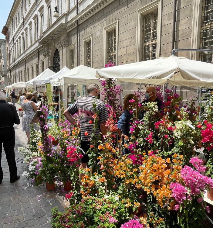 Flor incanta e colora Torino, chiusa l'edizione primaverile: appuntamento a ottobre alla Palazzina di Caccia di Stupinigi