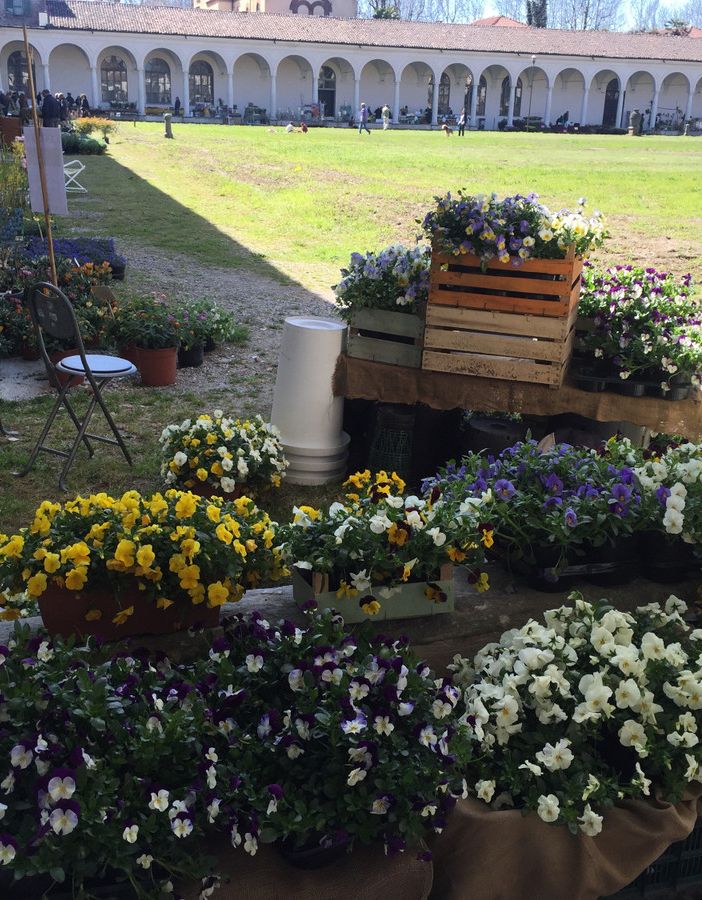 Certosa di Collegno e fiori