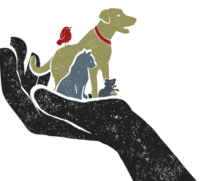 D'Istinti Animali e Fine Vita: Fondazione Fabretti a Torino Spiritualità