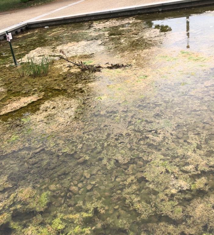 fontana con sporcizia e degrado