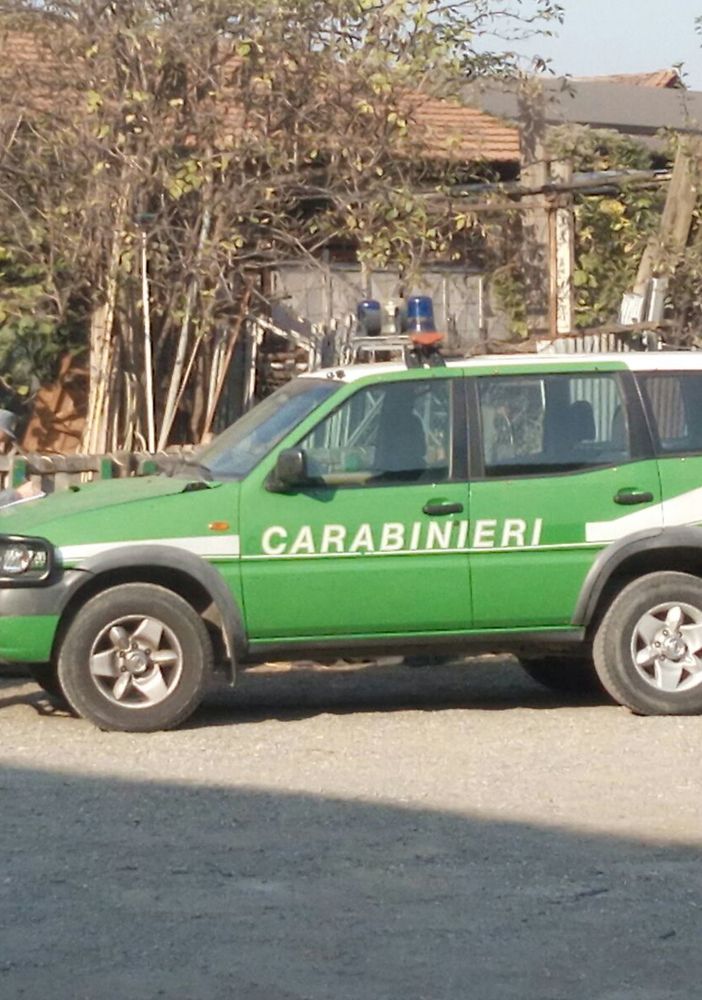 Controllo al noleggio cavalli della Pellerina: in arrivo le sanzioni per il proprietario