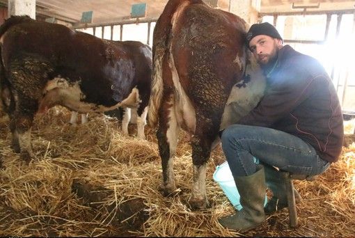 Francesco, 27 anni, alleva 15 mucche, produce formaggi in alpeggio a Oulx e sverna a Costigliole Saluzzo