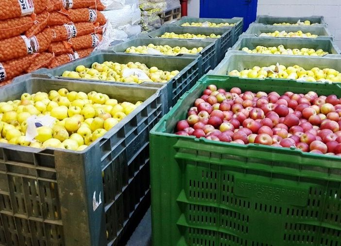 Gagliasso, Perugini e Demarchi (Lega Salvini Piemonte): “No al cibo sintetico per difendere le nostre eccellenze&quot;