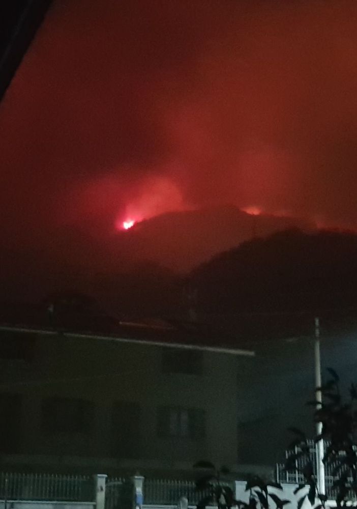 Gli incendi di questi giorni in Piemonte i più gravi dell'ultimo mezzo secolo
