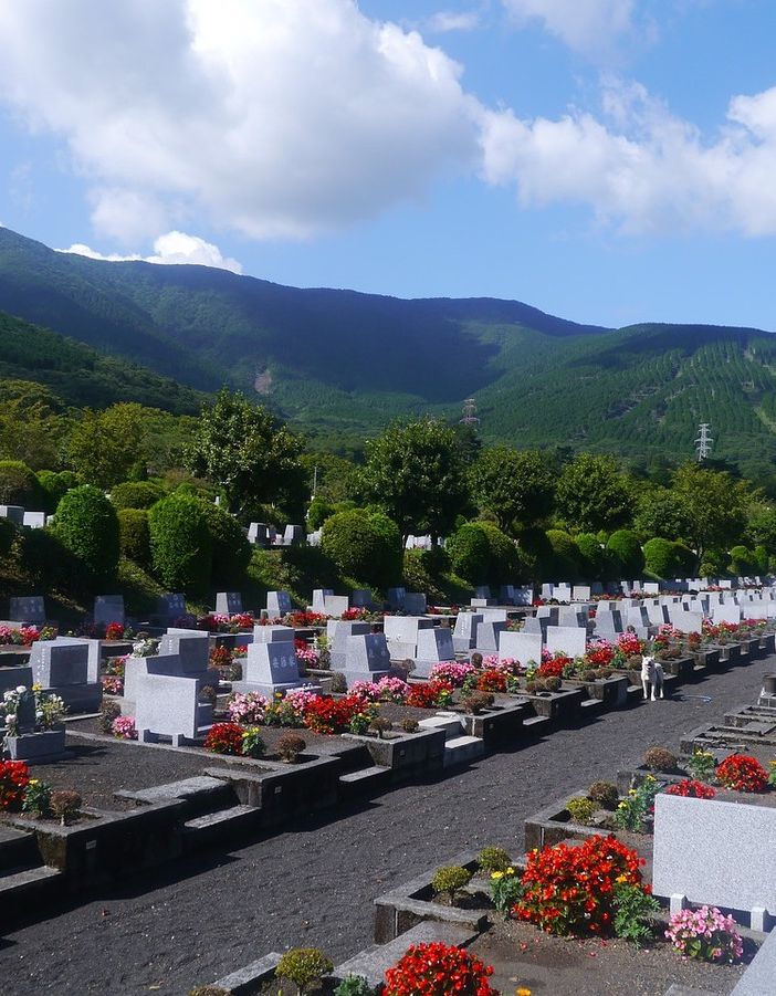 Funerale con cremazione: quanto costa e a chi rivolgersi