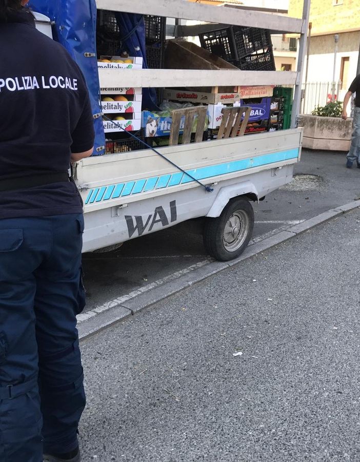 Nichelino, furgoncino della verdura circolava senza assicurazione: per l'ambulante 900 euro di multa