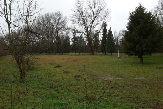Appendino: “Entro fine settembre restituito per intero alla città il Parco del Meisino”
