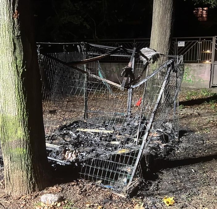 Le fiamme distruggono la &quot;casa dei gatti&quot; sul Lungo Po Michelotti