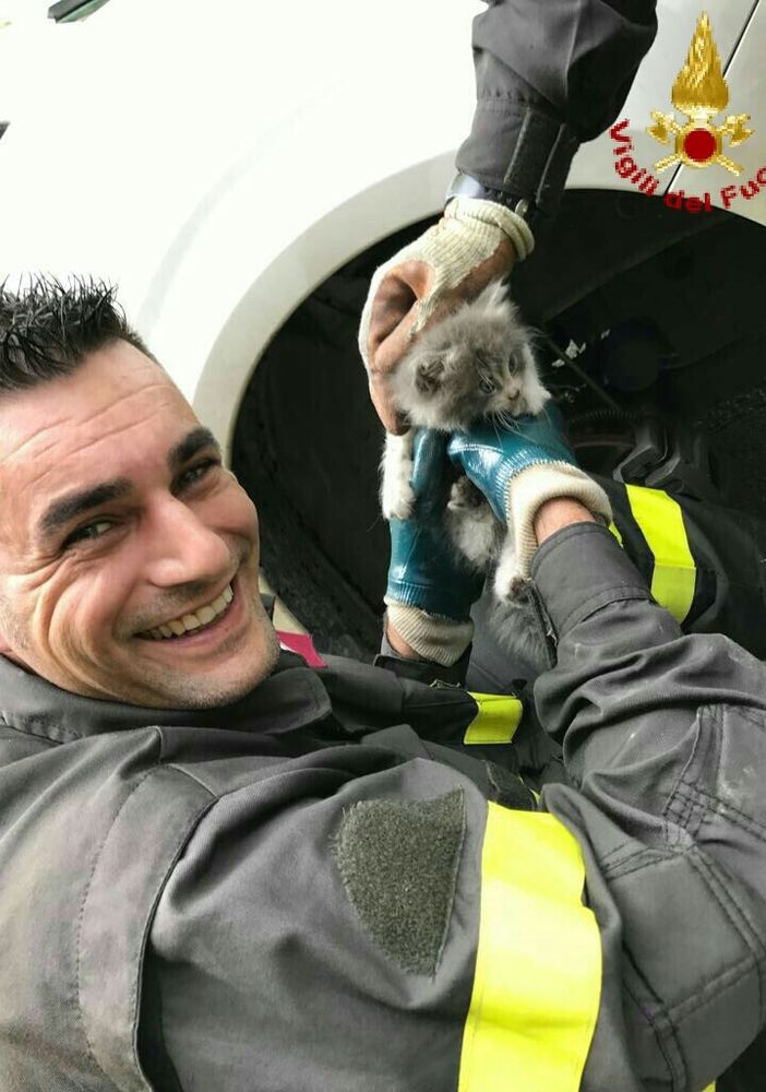 Bambina torinese salva la vita a un gattino