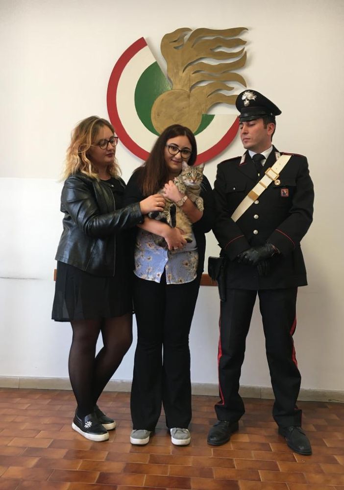 Torino, trova gatto e chiede un riscatto per restituirlo: arrestata