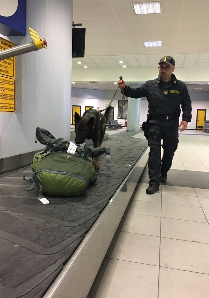 Controlli della Gdf all'aeroporto di Caselle: due persone nei guai