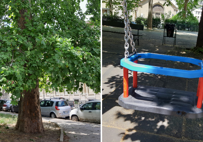 Giardini Allievo, i cittadini chiedono la riparazione dell'altalena e la potatura dell'albero