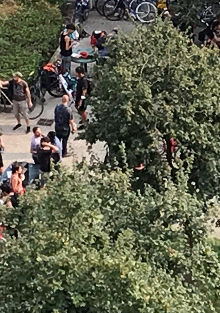 Giardini Madre Teresa, Alessi e Montaruli (Fdi) &quot;Tra schiamazzi e bivacchi situazione inaccettabile&quot;