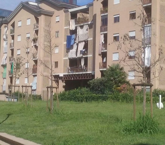 giardino