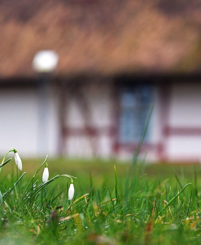 Crea la tua oasi di relax nel giardino: consigli e suggerimenti