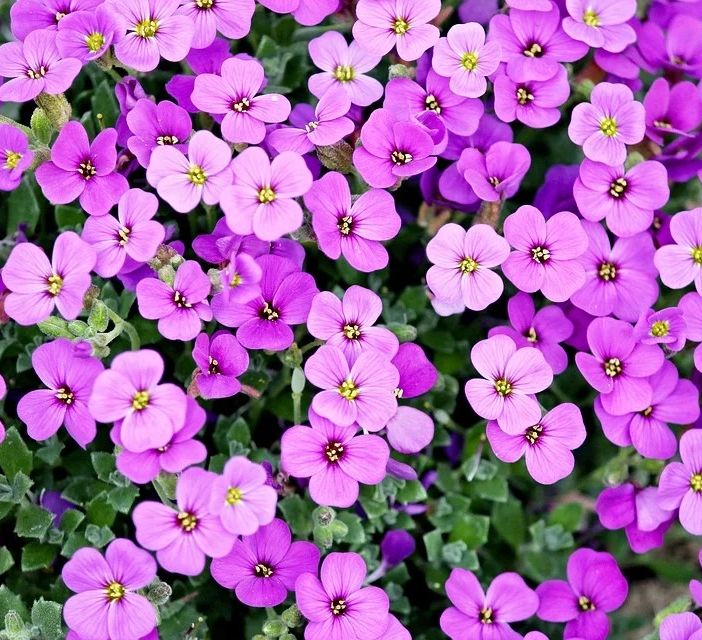 Vivere en plein air: sette consigli per arredare il giardino