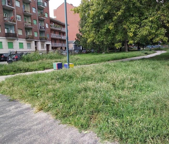 Manutenzione verde e fabbricati, nel 2022 la Circoscrizione 4 di Torino ha speso oltre 250mila euro