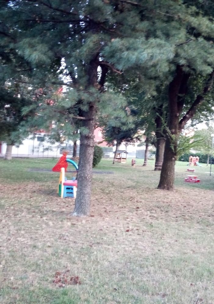 immagine di repertorio