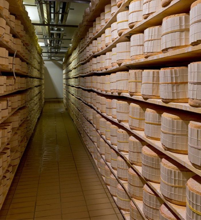 forme di gorgonzola