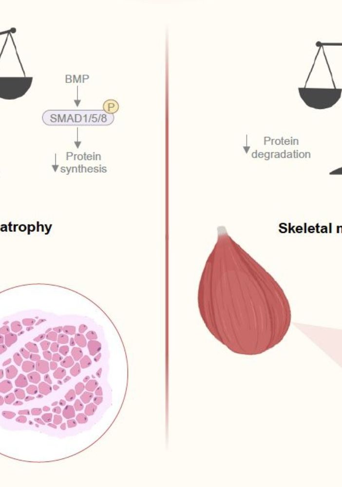 grafico di ricerca scientifica