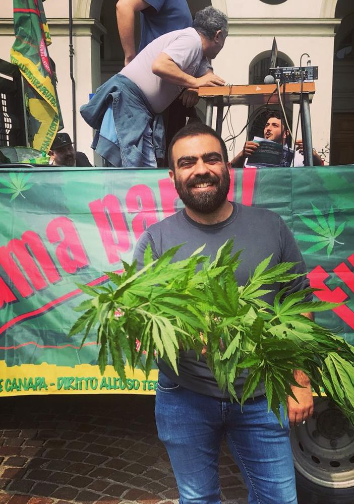Canapa terapeutica, Grimaldi (LUV): &quot;Da gennaio pazienti senza farmaci bloccati alla dogana. DOCG canapa per garantire cure&quot;