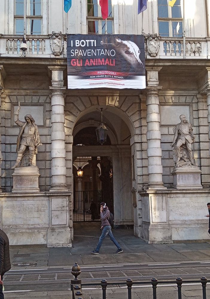 botti e animali