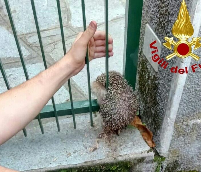 immagine di repertorio