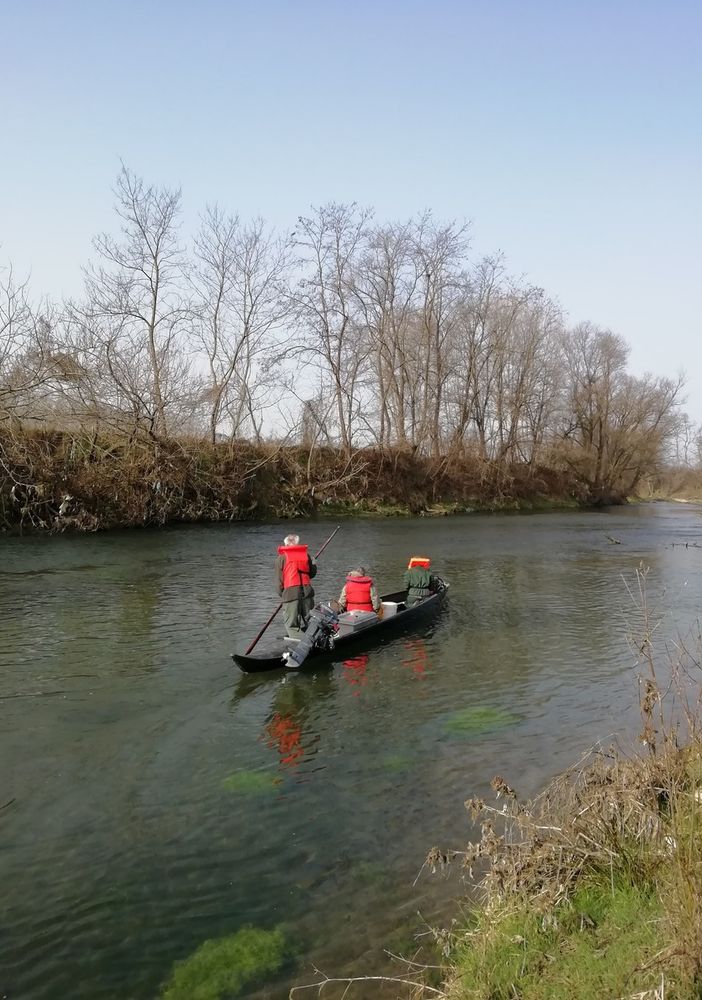 Immagine di repertorio