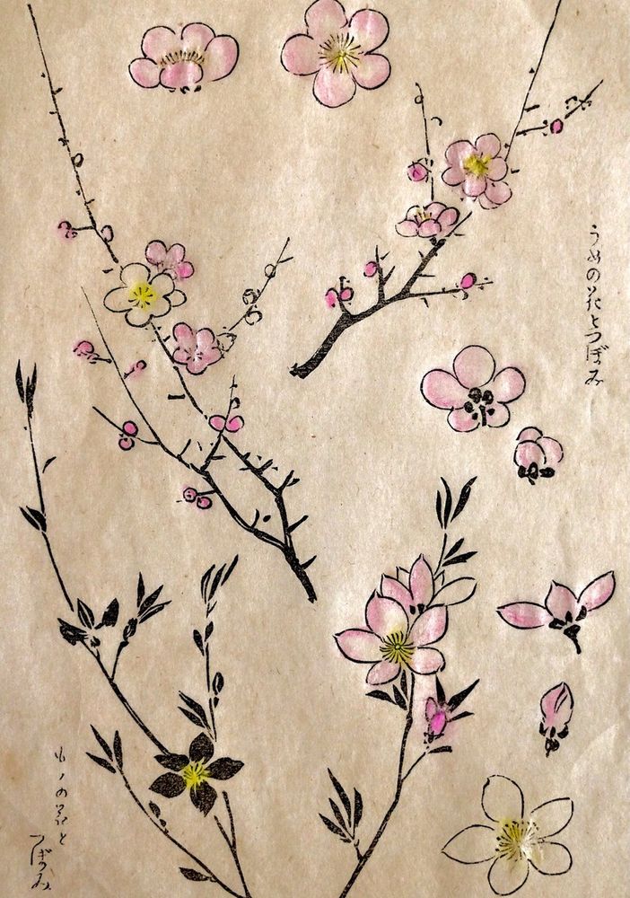 &quot;Fiori di ciliegio&quot;, Kono Barei