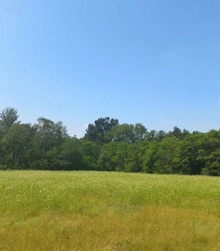 Camminata alla scoperta della Vauda di Volpiano