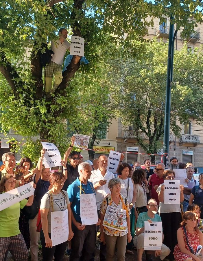 protesta di persone in strada