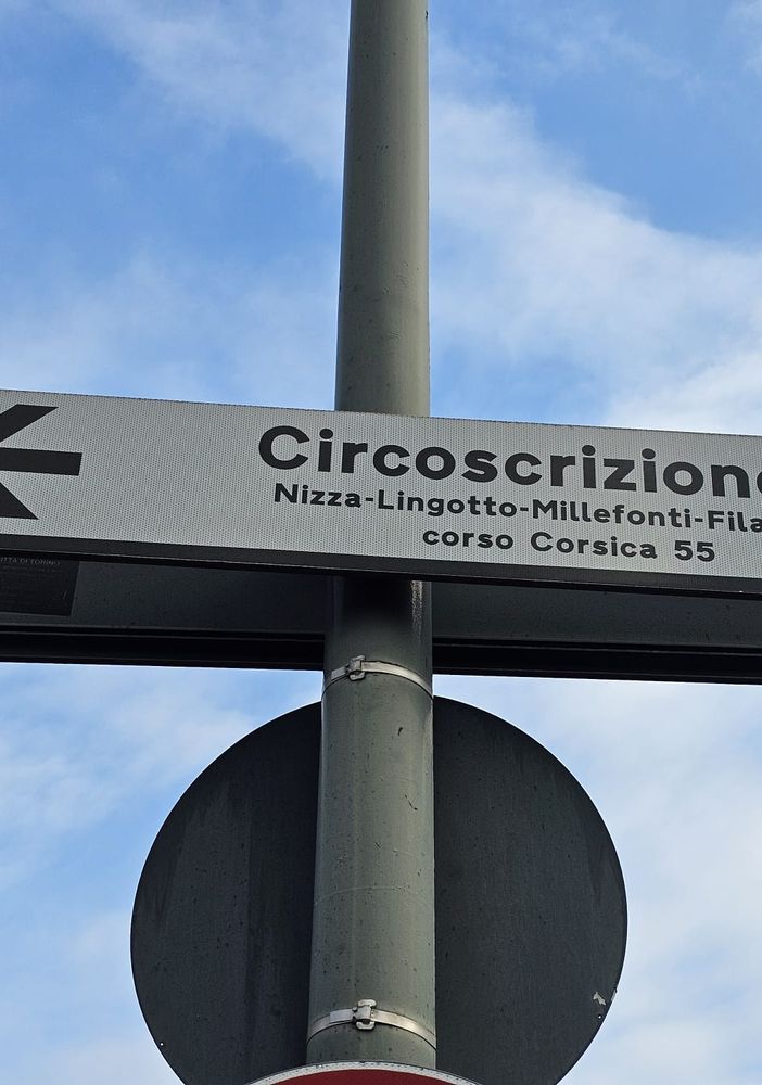 &quot;A Torino c'è ancora la Circoscrizione 9&quot;