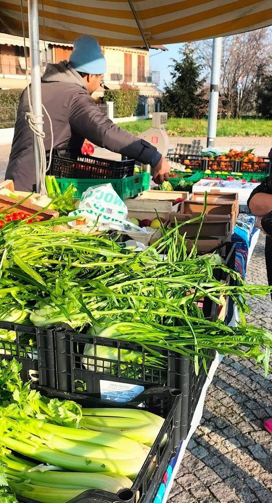 Dopo i bus, al Villaretto torna un banco di frutta e verdura