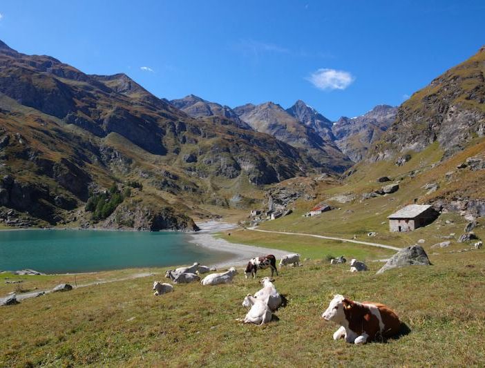 Da inizio luglio a settembre, traffico limitato sulla strada da Margone al lago di Malciaussia