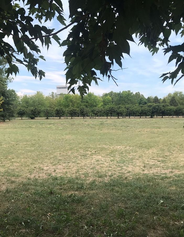 C’erano una volta i merenderos: griglie spente alla Pellerina, nei parchi relax e quiete a Ferragosto