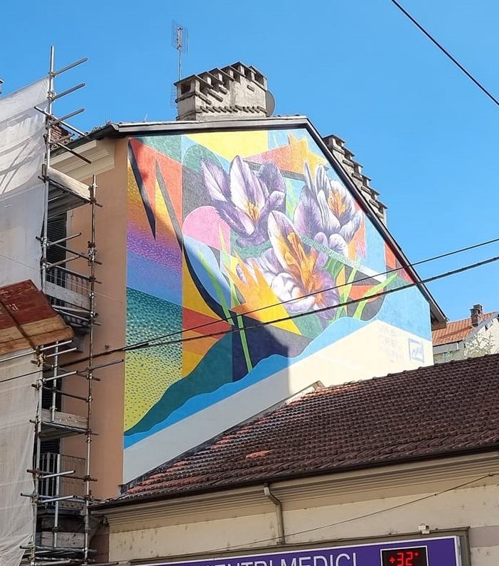 “Geometrie Floreali” a Borgo Campidoglio: la nuova opera del Museo di Arte Urbana di Torino