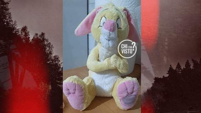 &quot;Qualcuno ha trovato questo peluche di mia figlia autistica?&quot; Appello di una mamma torinese a &quot;Chi l'ha visto?&quot;