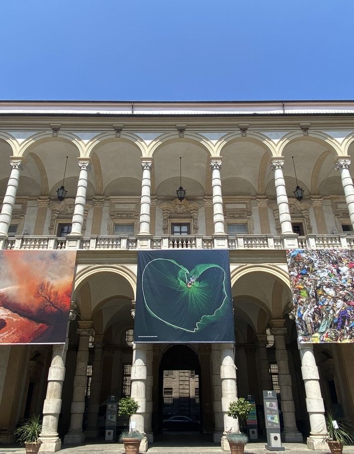 CinemAmbiente: apre la mostra &quot;The Environmental Photographer of the Year&quot;