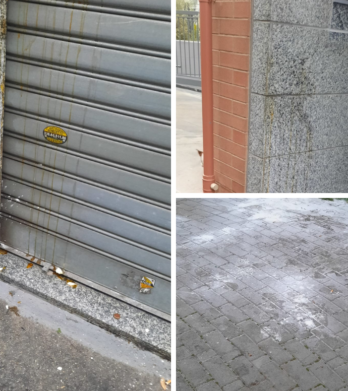 Lancio di uova e farina per le strade del quartiere Aurora. Alessi (fdi): &quot;Qui sembra tutto concesso&quot;