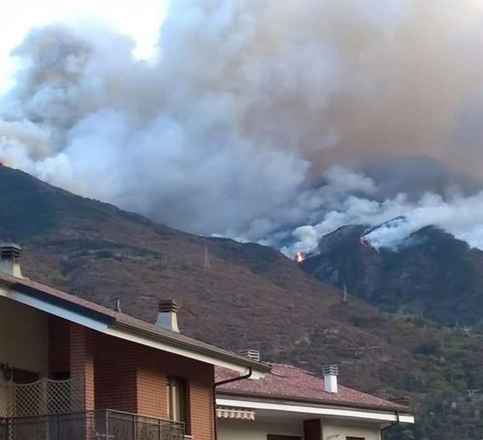 &quot;Brucio anch'io&quot;: una mostra a Torino a un anno dagli incendi nel Pinerolese e in ValSusa