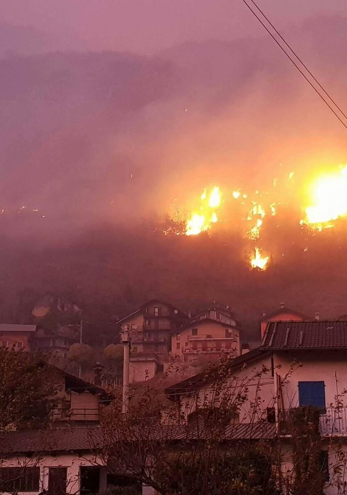Fedagri Piemonte: &quot;Ogni metro quadro di bosco bruciato, costa circa 20mila euro alla collettività&quot;