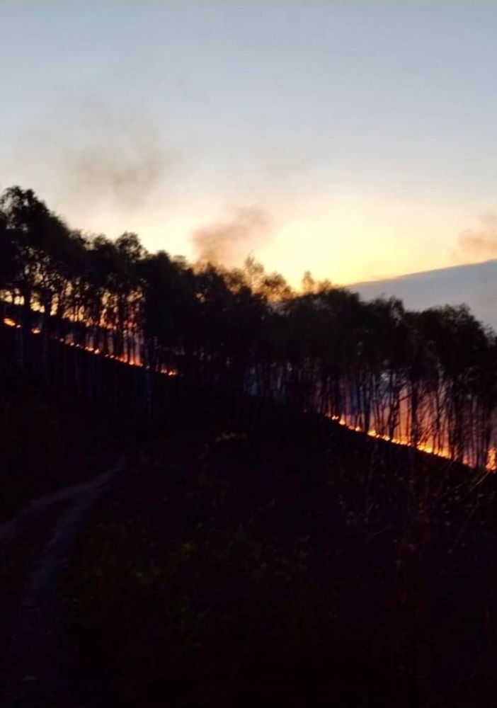 incendio boschivo