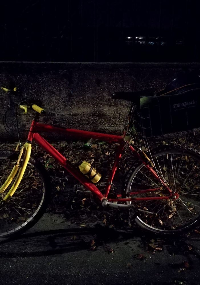 Rosta, scontro fra auto e bici nel parco del castello: bambino in ospedale