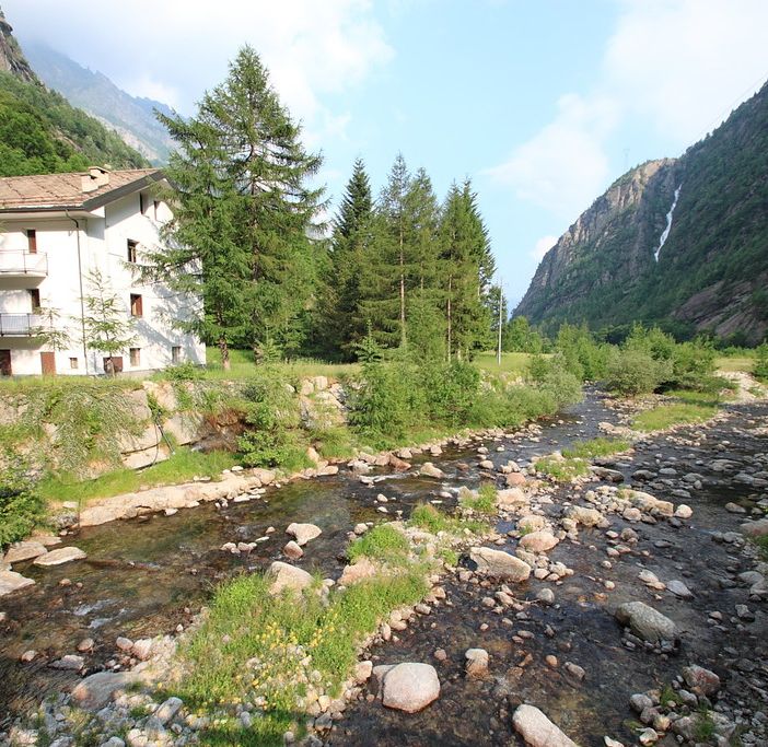 Nel Parco Nazionale del Gran Paradiso ritorna la trota marmorata
