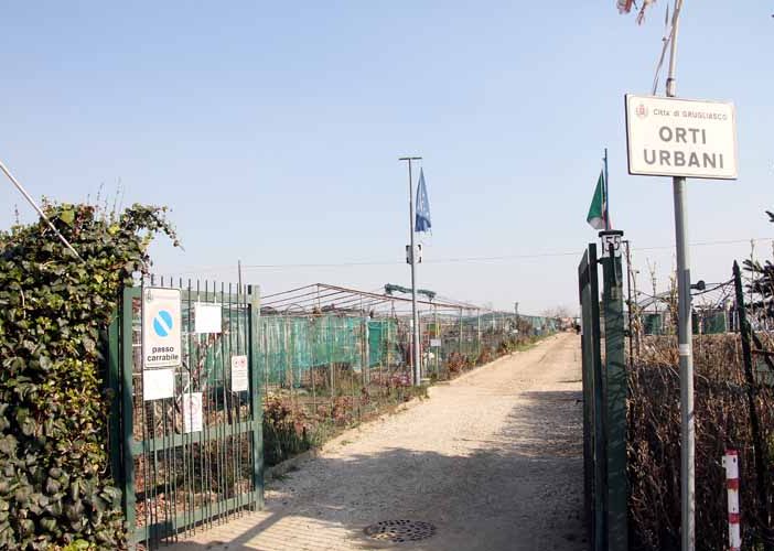 Orti urbani di Grugliasco
