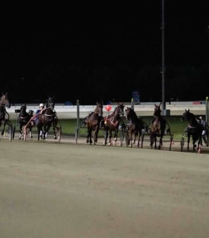 ippodromo di vinovo notte