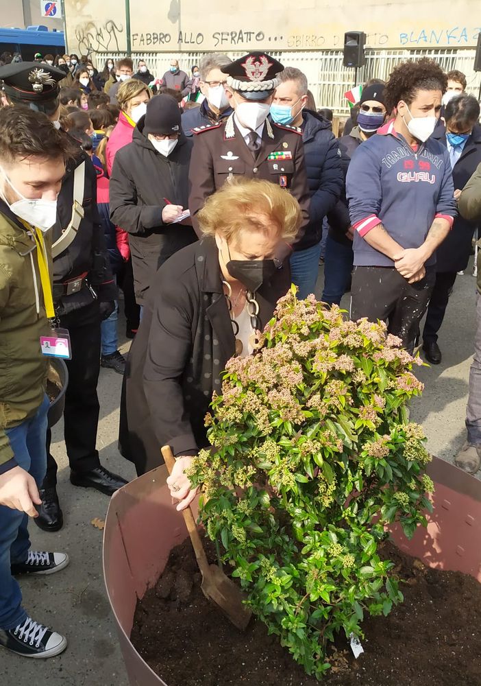 L'Albero della Legalità trova casa a Borgo Dora grazie a Maria Falcone e al Cottolengo
