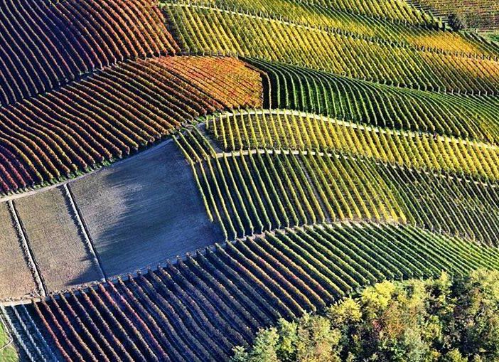 Dieci tour operator internazionali alla scoperta del Nord-Ovest ciclabile